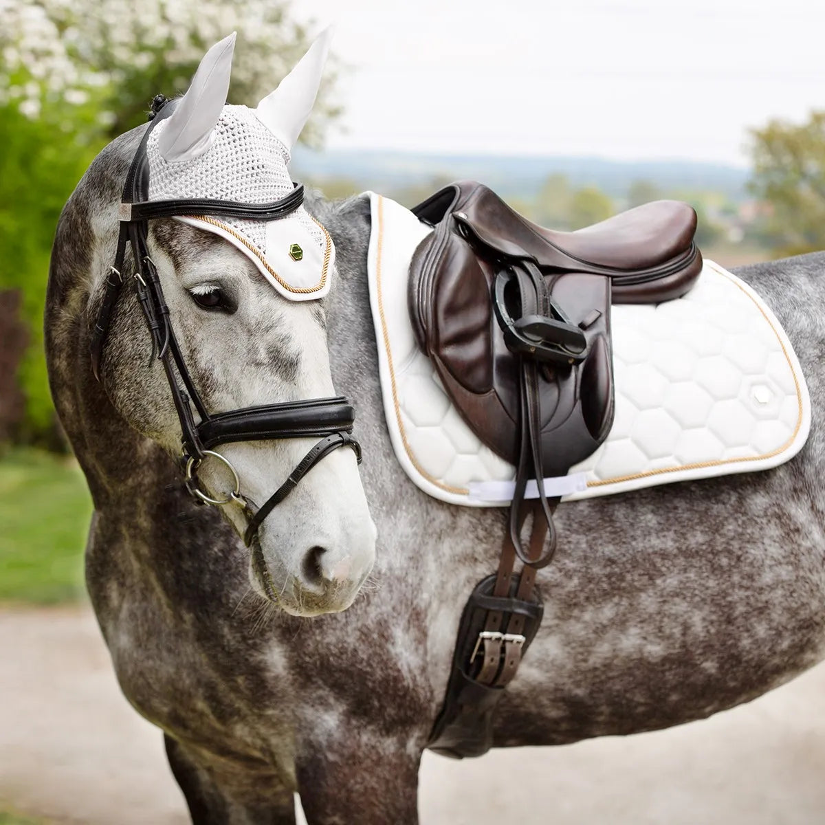 Coldstream Marygold Fly Veil