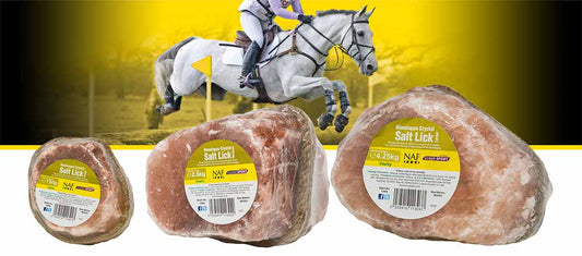 NAF Himalayan Salt Licks