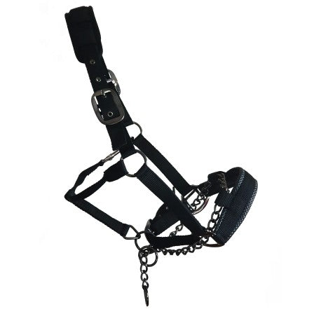 Control Comfort Headcollar With Chain