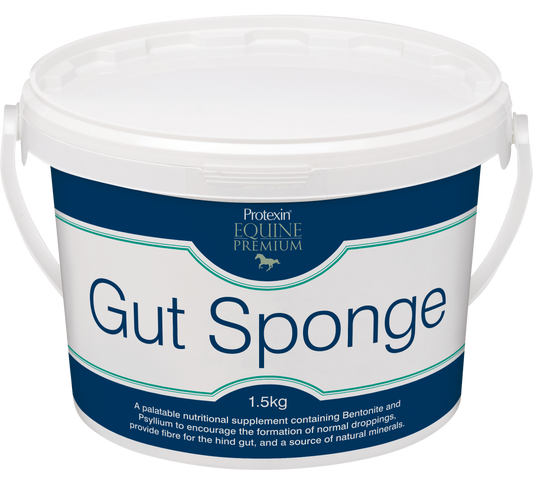 Protexin Equine Premium Gut Sponge