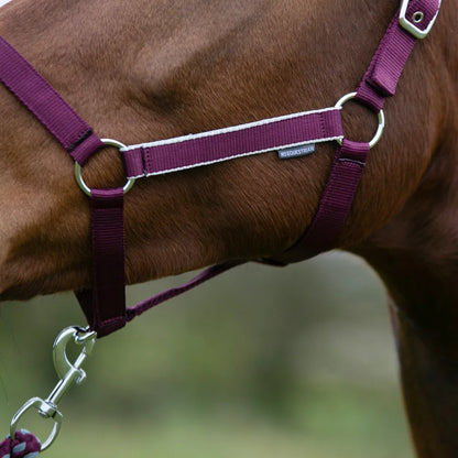 Hy Equestrian Synergy Head Collar & Lead Rope