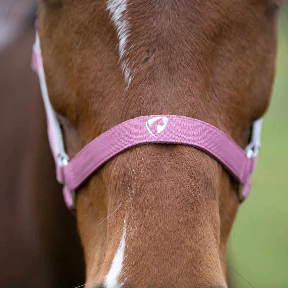 Hy Equestrian Synergy Head Collar & Lead Rope