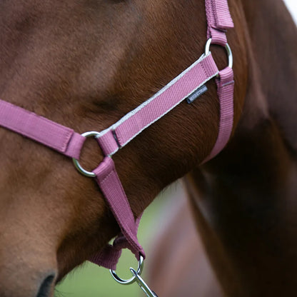 Hy Equestrian Synergy Head Collar & Lead Rope