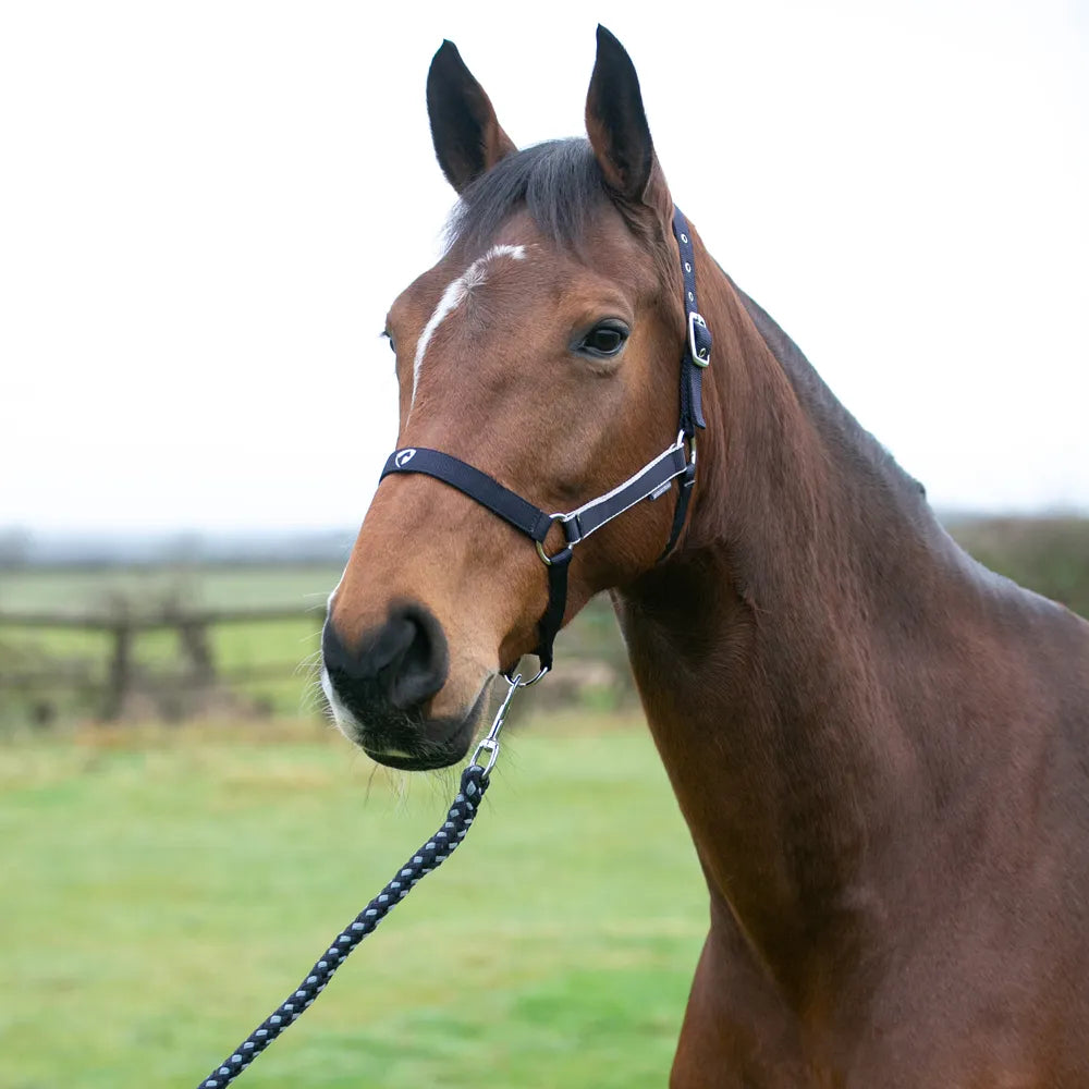 Hy Equestrian Synergy Head Collar & Lead Rope