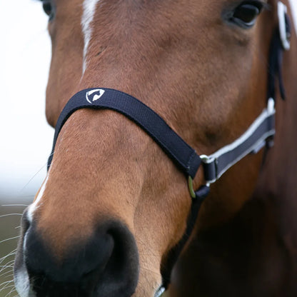 Hy Equestrian Synergy Head Collar & Lead Rope