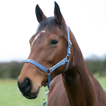 Hy Equestrian Synergy Head Collar & Lead Rope