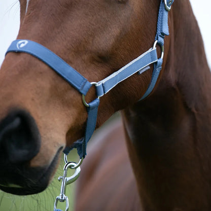 Hy Equestrian Synergy Head Collar & Lead Rope