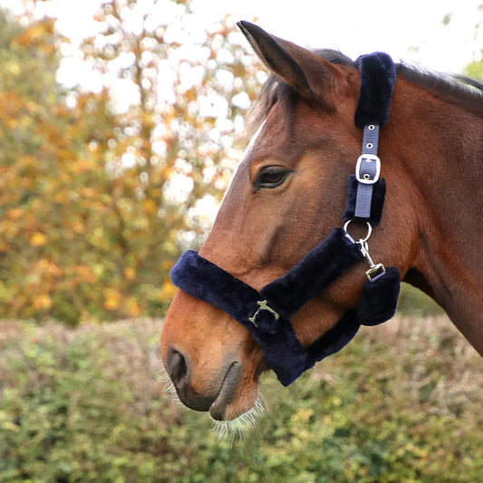 Hy Equestrian Fab Fleece Headcollar