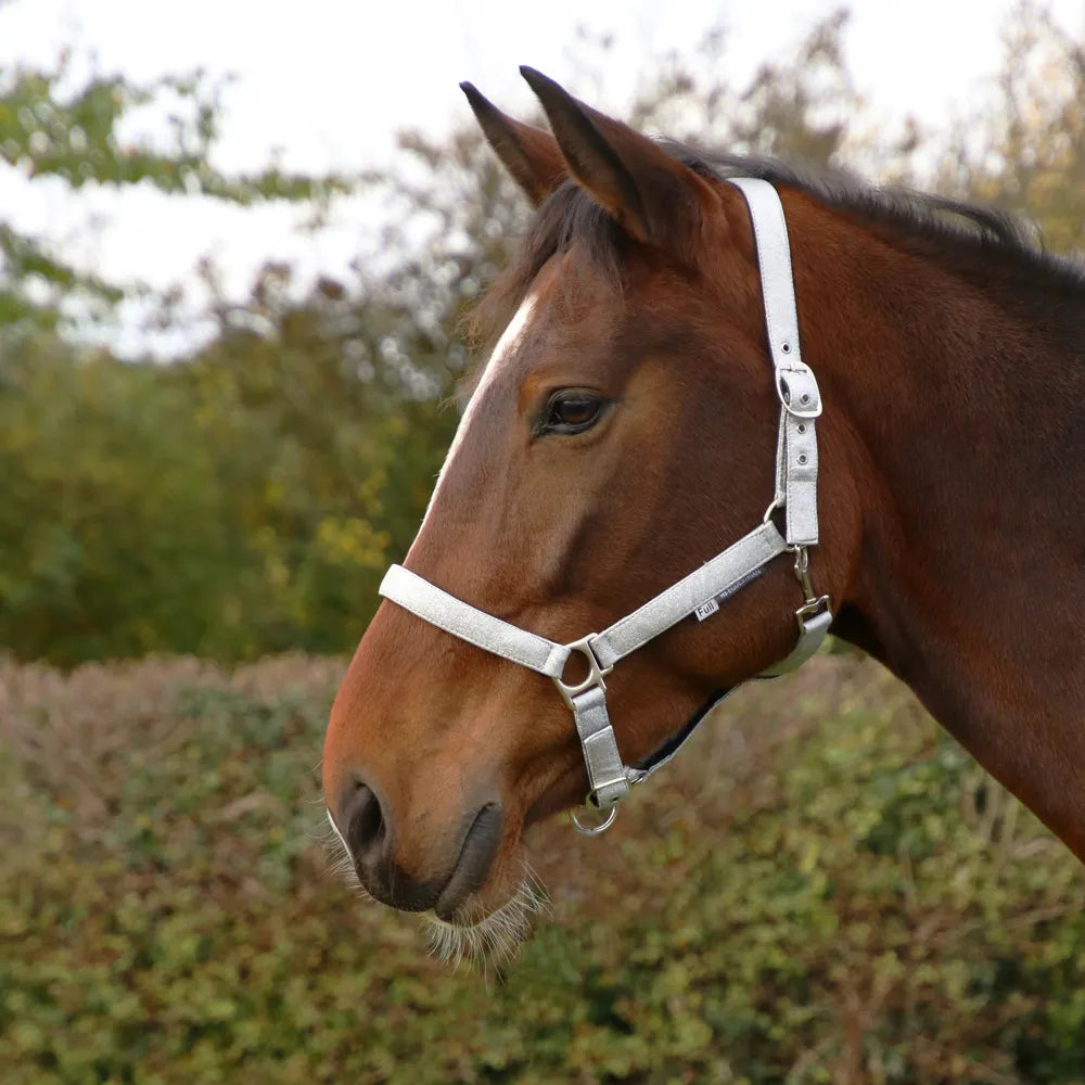 Hy Equestrian Glitzy Headcollar