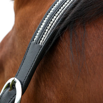 Hy Equestrian Anodize Leather Head Collar