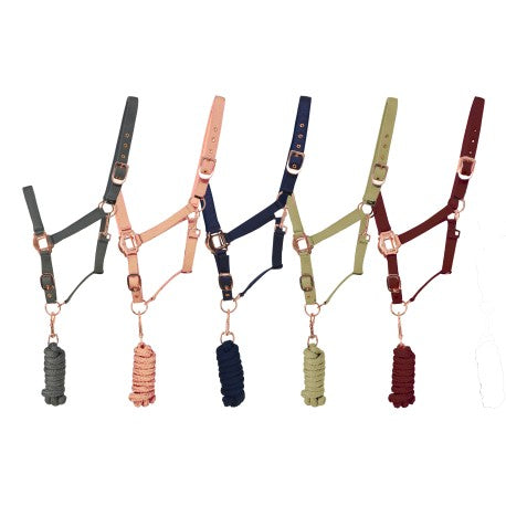 Rose Gold Headcollar & Lead Rope Set