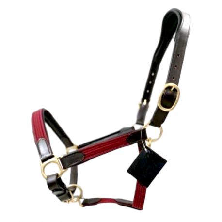 Elano Premium Anatomic Web halters