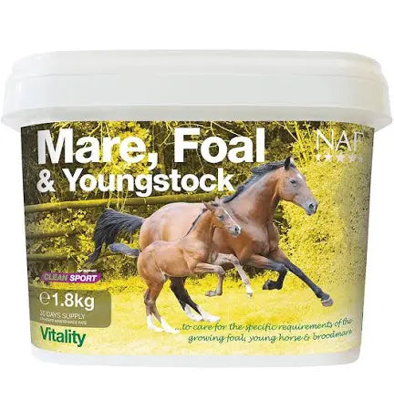 NAF Mare Foal & Youngstock