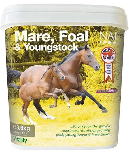 NAF Mare Foal & Youngstock